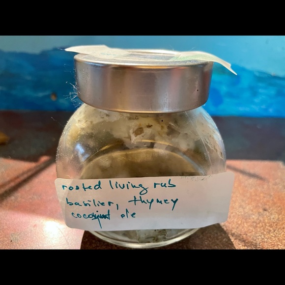 everlife-free.hojma rooted living brand - Picture 4 of 8